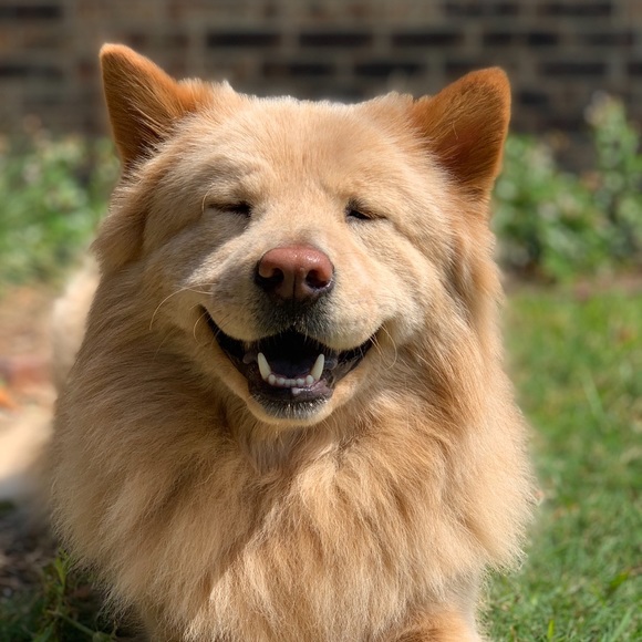 Meet your Posher, Emily - Picture 6 of 16